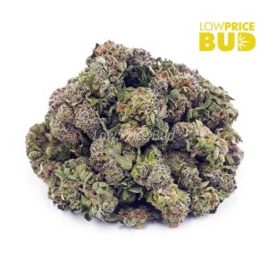 Animal Crackers (AAAA) – Popcorn Nugs Buy Animal Crackers (AAAA) – Popcorn Nugs online Canada