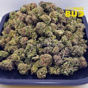 Animal Crackers (AAAA) – Popcorn Nugs Buy Animal Crackers (AAAA) – Popcorn Nugs online Canada