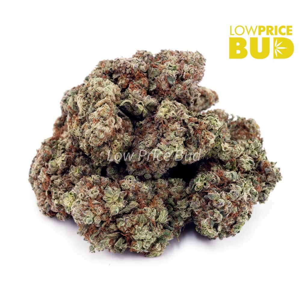 Kosher Kush (AA) Buy Kosher Kush (AA) online Canada