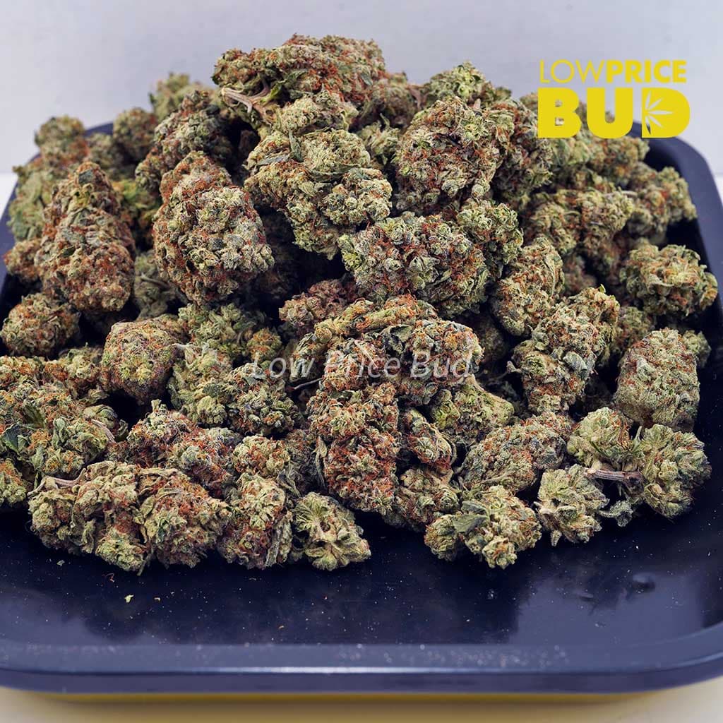 Kosher Kush (AA) Buy Kosher Kush (AA) online Canada