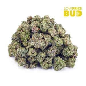 Acapulco Gold (AAAA) – Popcorn Nugs Buy Acapulco Gold (AAAA) – Popcorn Nugs online Canada
