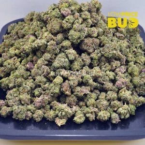 Acapulco Gold (AAAA) – Popcorn Nugs Buy Acapulco Gold (AAAA) – Popcorn Nugs online Canada