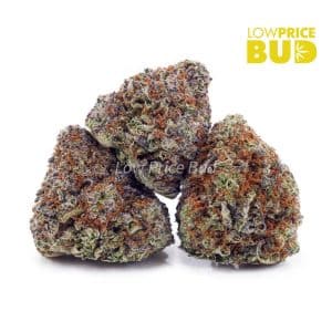 Trainwreck (AAAA) Buy Trainwreck (AAAA) online Canada