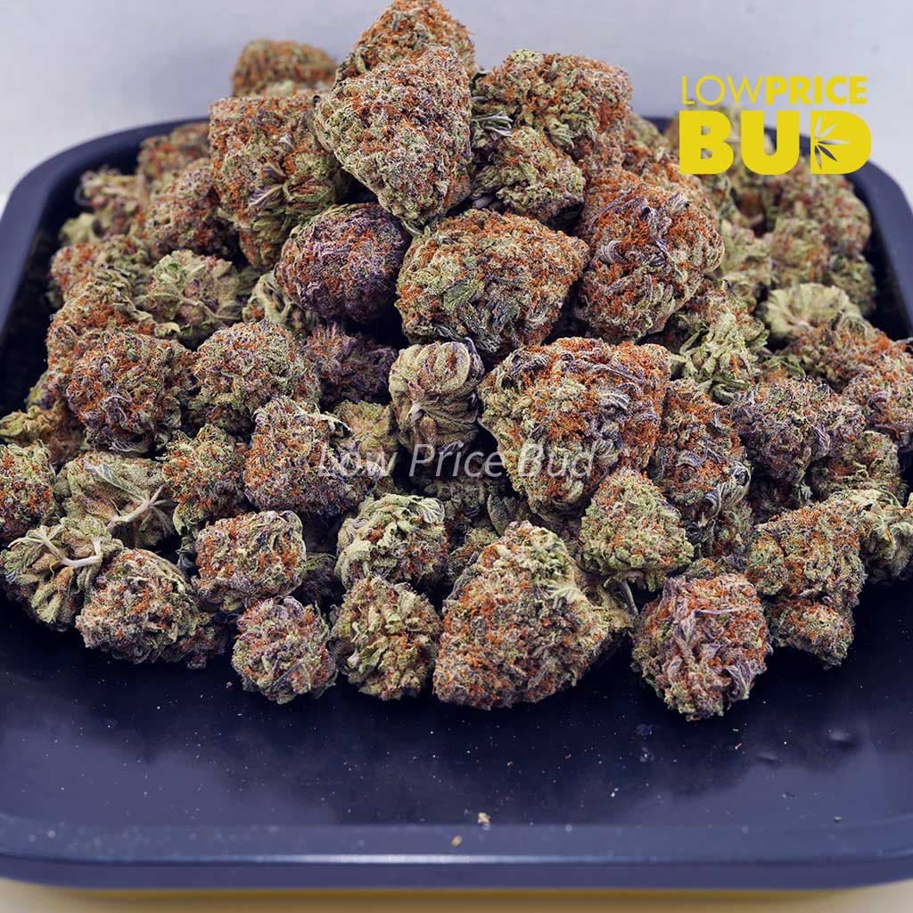 Trainwreck (AAAA) Buy Trainwreck (AAAA) online Canada