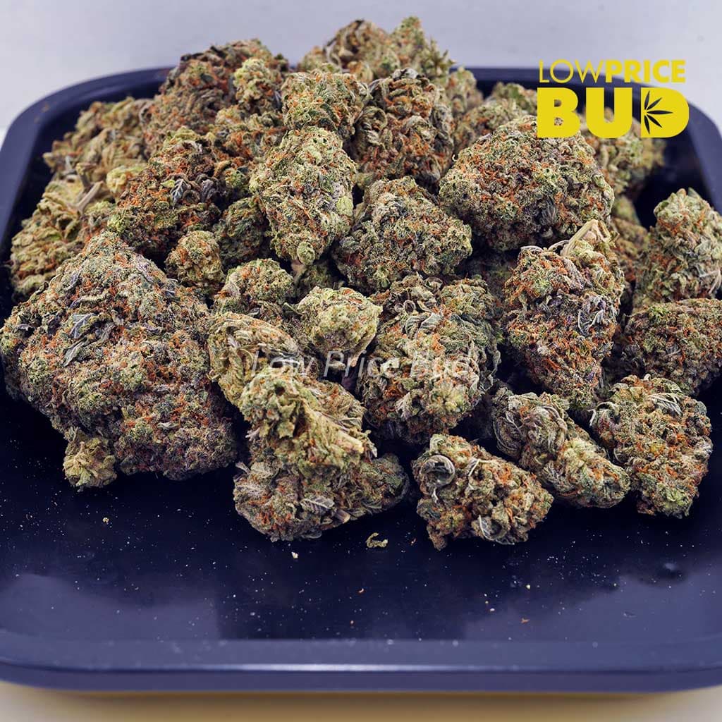 Pineapple Godbud (AAA) Buy Pineapple Godbud (AAA) online Canada