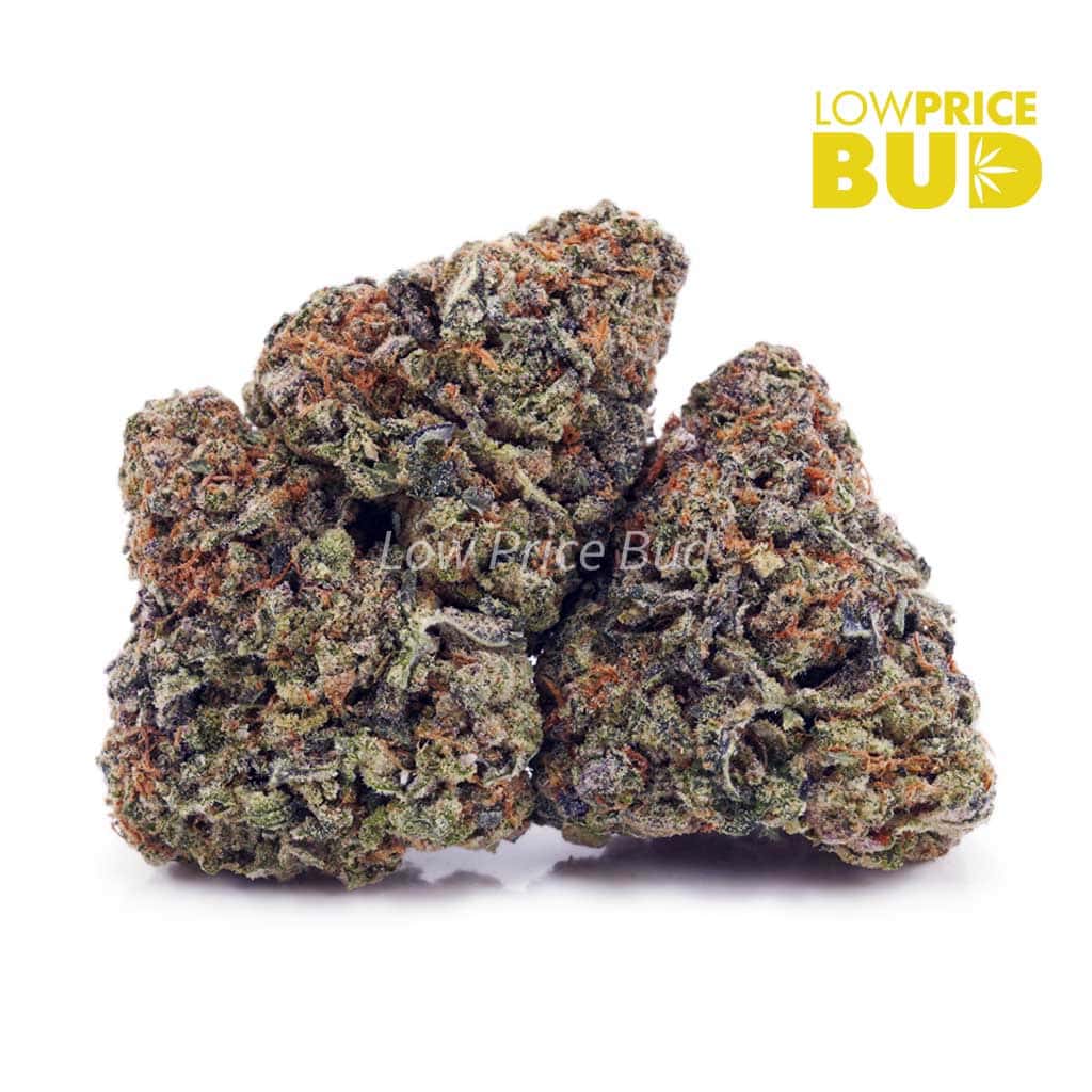 Afghan Haze (AAAA) Buy Afghan Haze (AAAA) online Canada
