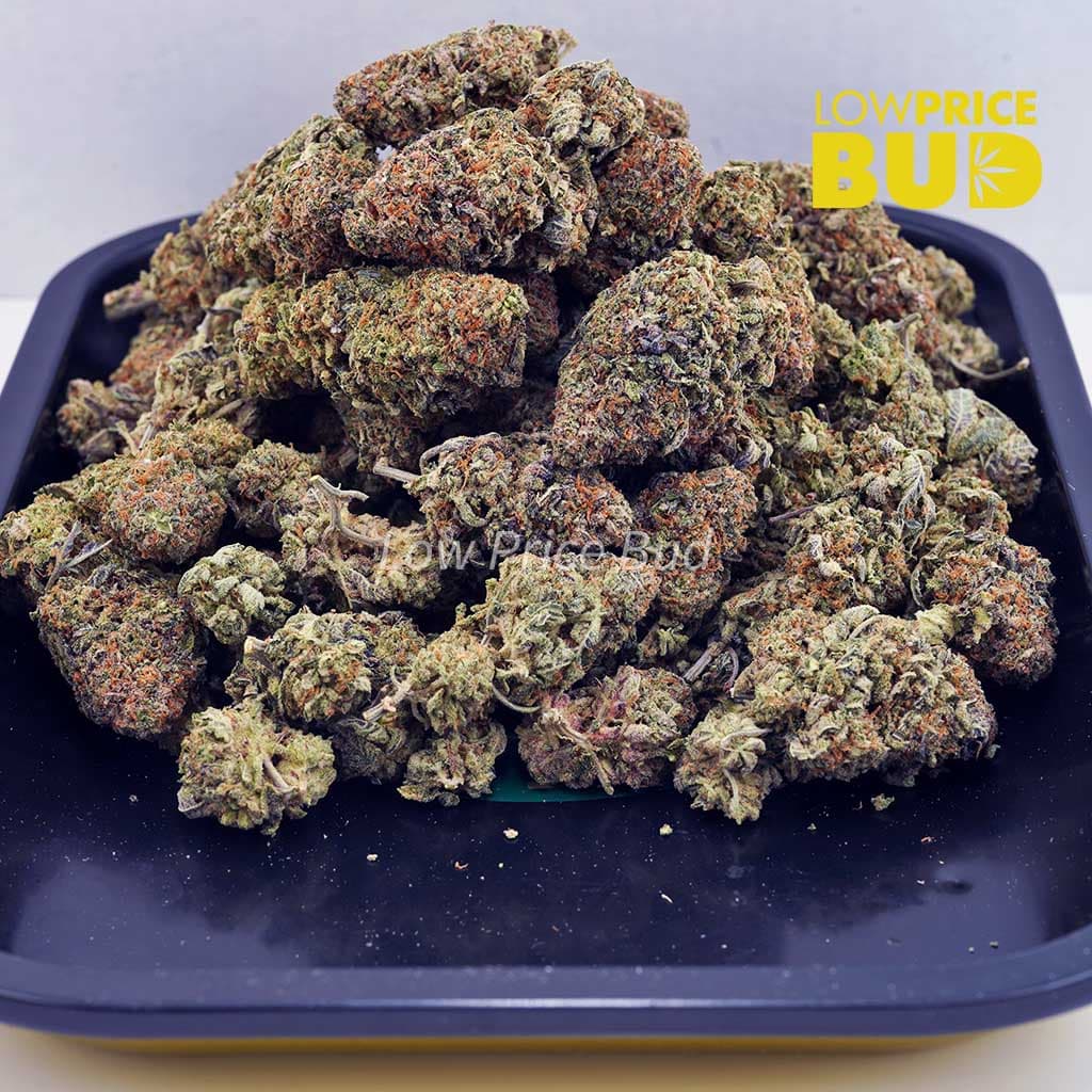 Afghan Haze (AAAA) Buy Afghan Haze (AAAA) online Canada