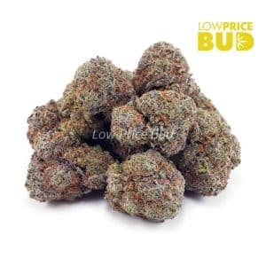 Blue Dream (AAA) Buy Blue Dream (AAA) online Canada