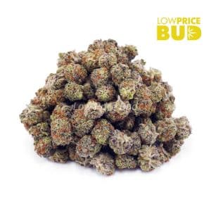 Passionfruit Lemonade (AAAA) – Popcorn Nugs Buy Passionfruit Lemonade (AAAA) – Popcorn Nugs online Canada