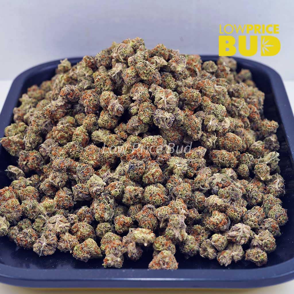 Passionfruit Lemonade (AAAA) – Popcorn Nugs Buy Passionfruit Lemonade (AAAA) – Popcorn Nugs online Canada