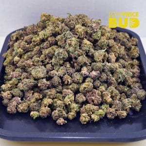 Gummy Bearz (AAAA) – Popcorn Nugs Buy Gummy Bearz (AAAA) – Popcorn Nugs online Canada