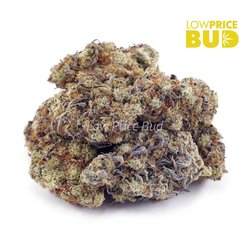 Island Kush (AA) Buy Island Kush (AA) online Canada