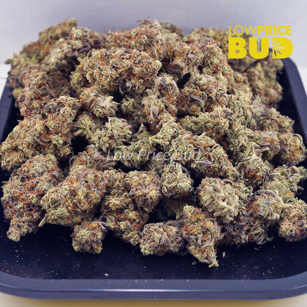 Island Kush (AA) Buy Island Kush (AA) online Canada