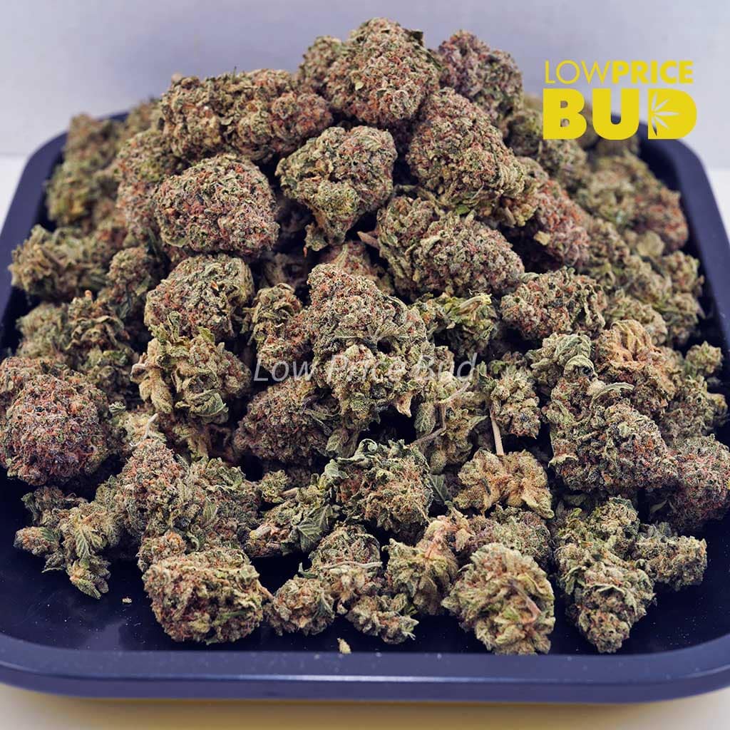 Green Goblin (AA) Buy Green Goblin (AA) online Canada