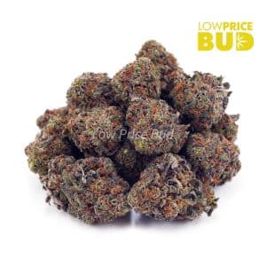 Super Glue (AA) Buy Super Glue (AA) online Canada