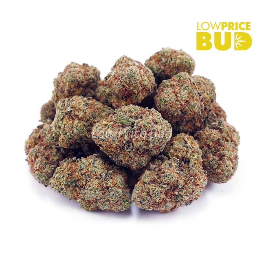 Wedding Cake (AA) Buy Wedding Cake (AA) online Canada