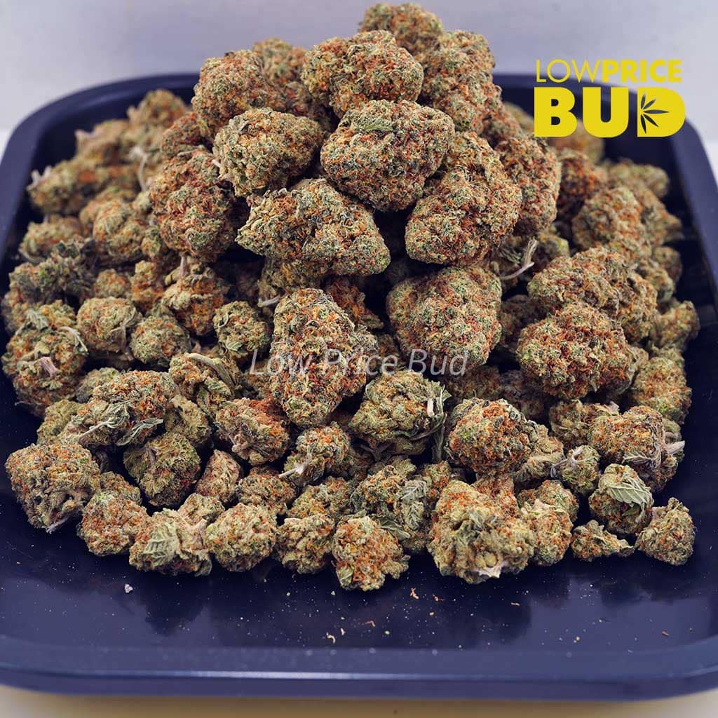 Wedding Cake (AA) Buy Wedding Cake (AA) online Canada