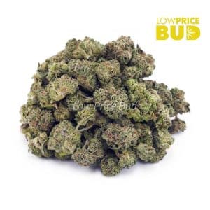 Wedding Crasher (AAAA) – Popcorn Nugs Buy Wedding Crasher (AAAA) – Popcorn Nugs online Canada