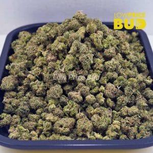 Wedding Crasher (AAAA) – Popcorn Nugs Buy Wedding Crasher (AAAA) – Popcorn Nugs online Canada