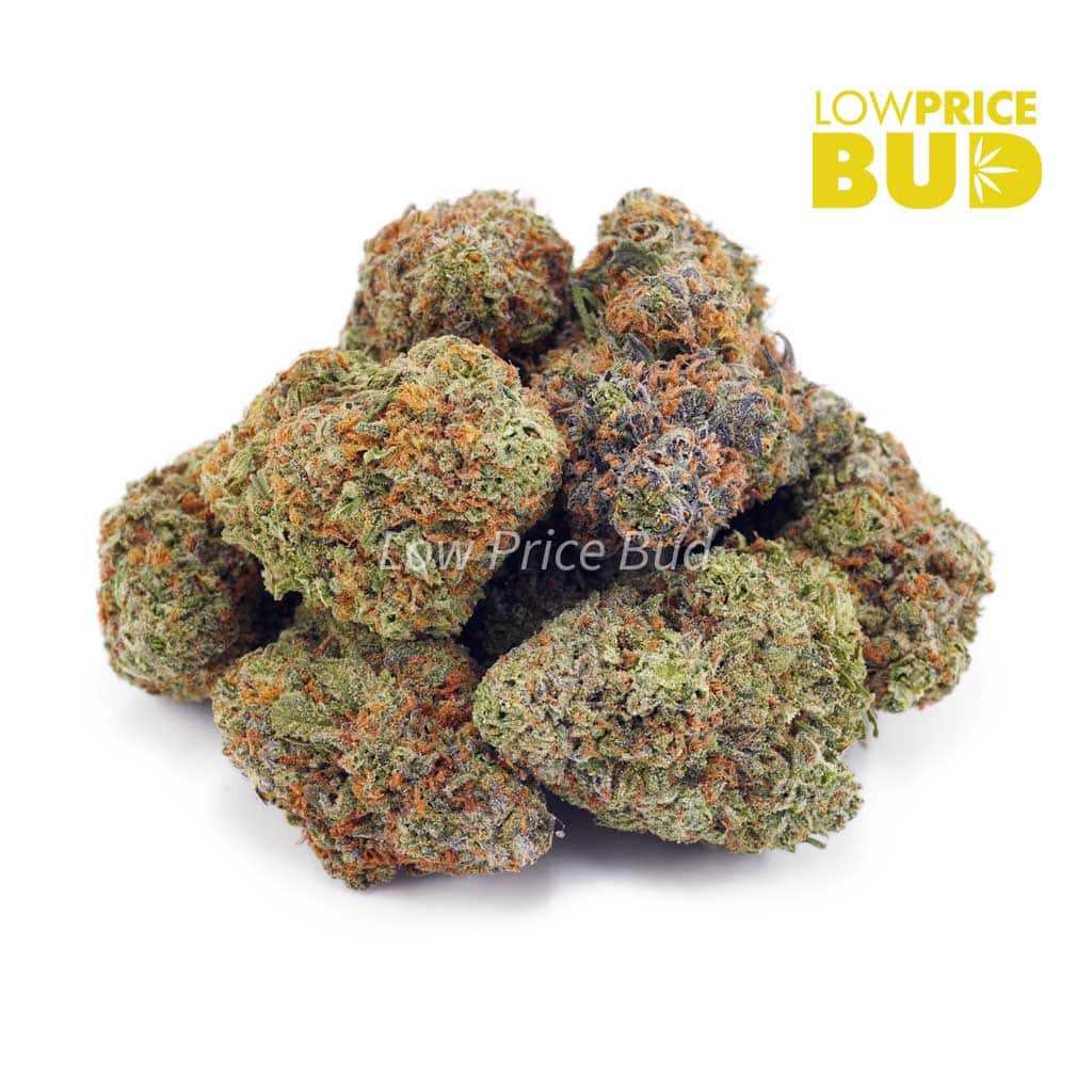 Gushers (AAA) Buy Gushers (AAA) online Canada