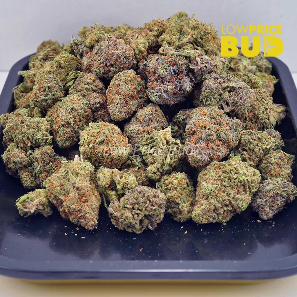 Gushers (AAA) Buy Gushers (AAA) online Canada