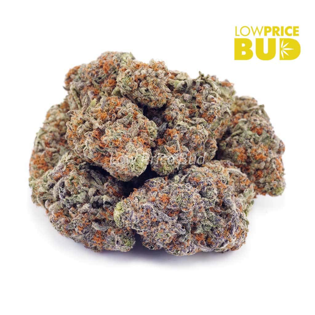 MAC Donuts (AAA) Buy MAC Donuts (AAA) online Canada