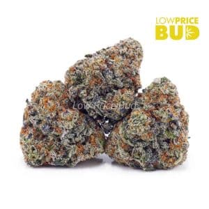 Space Cookies (AAA) Buy Space Cookies (AAA) online Canada