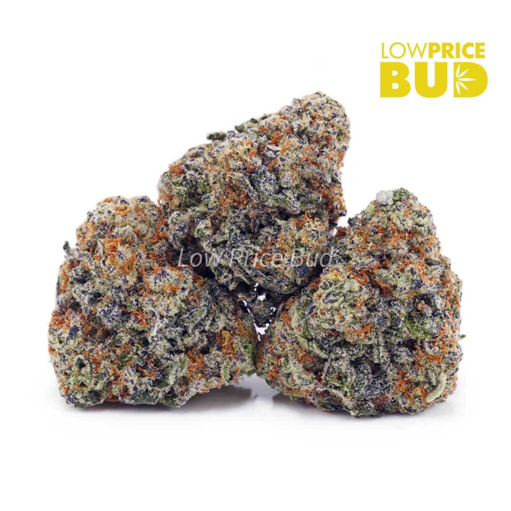 Space Cookies (AAA) Buy Space Cookies (AAA) online Canada