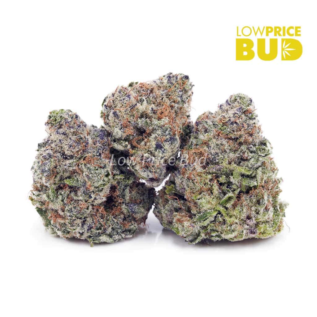 Blackberry Kush (AAA) Buy Blackberry Kush (AAA) online Canada