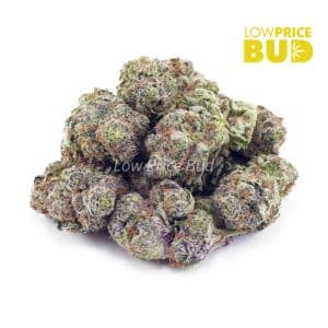 Blackberry Kush (AAA) Buy Blackberry Kush (AAA) online Canada