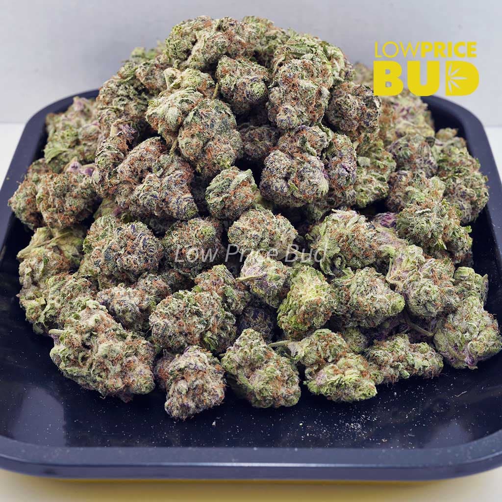Blackberry Kush (AAA) Buy Blackberry Kush (AAA) online Canada