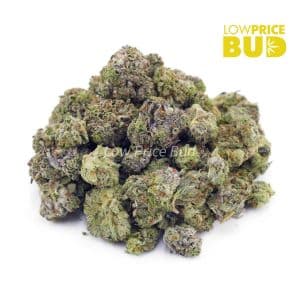 Buy Cereal Killer (AAAA) – Popcorn Nugs online Canada