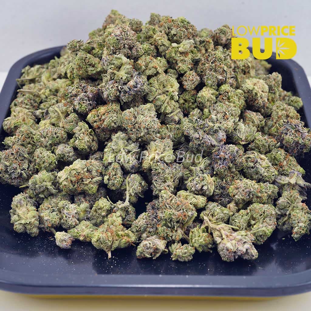 Buy Cereal Killer (AAAA) – Popcorn Nugs online Canada