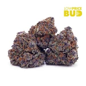 Buy Rainbow Driver (AAAA) online Canada