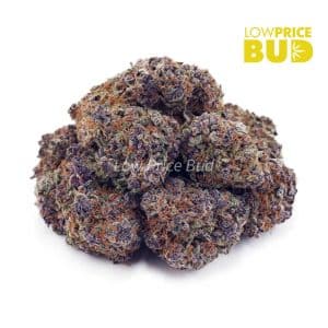 Buy Rainbow Driver (AAAA) online Canada