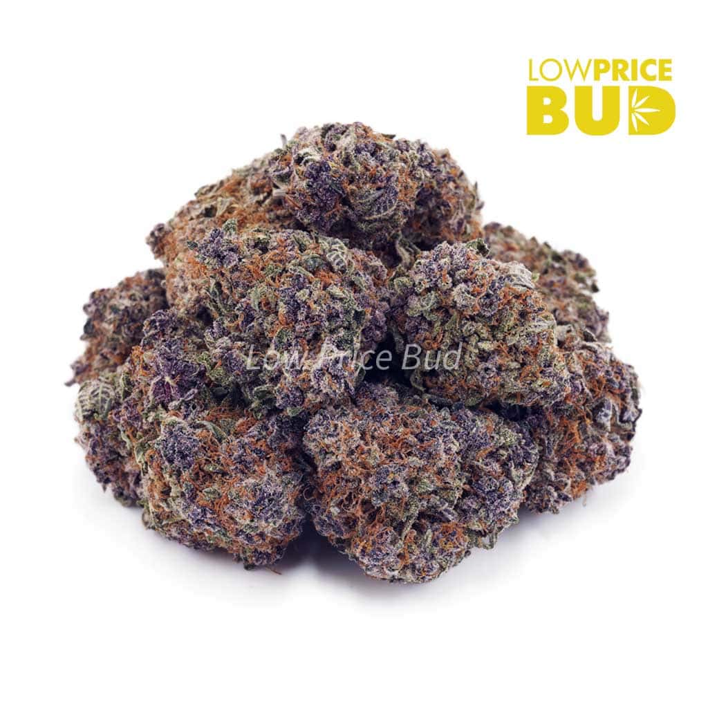 Buy Rainbow Driver (AAAA) online Canada