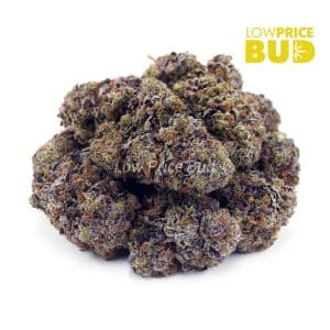 Buy Tom Ford Pink Kush (Craft Cannabis) online Canada