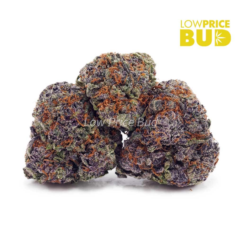 Roji OG (AAA) Buy Roji OG (AAA) online Canada