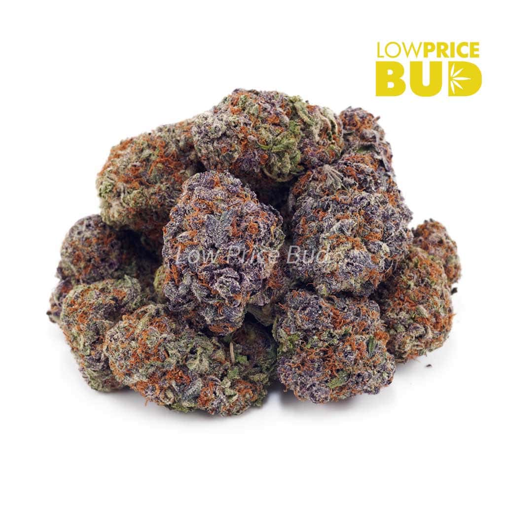 Roji OG (AAA) Buy Roji OG (AAA) online Canada