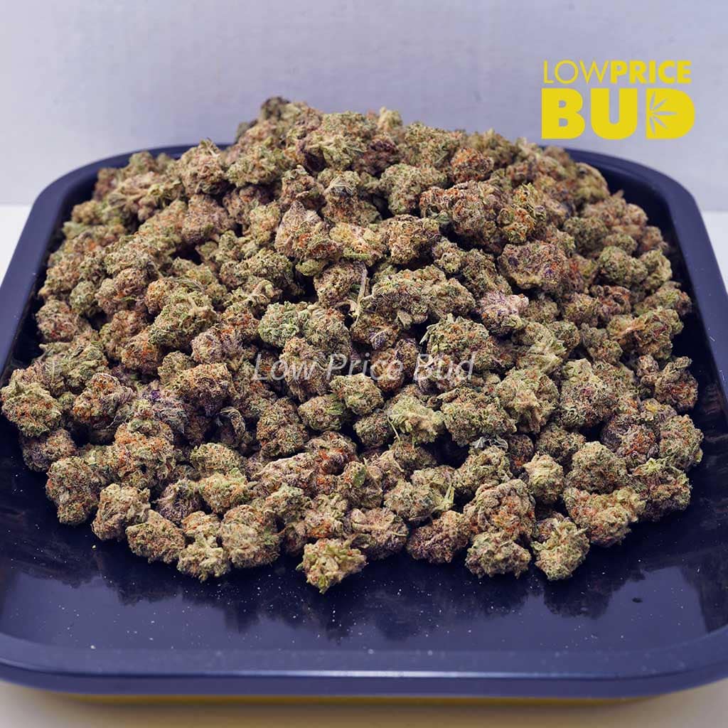 Buy King Louie XIII (AAAA) – Popcorn Nugs online Canada