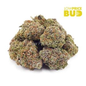 Buy Animal Cookies (AAA) online Canada