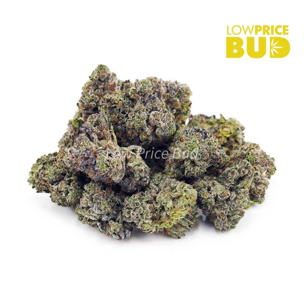 Buy Jealousy (AAAA) online Canada