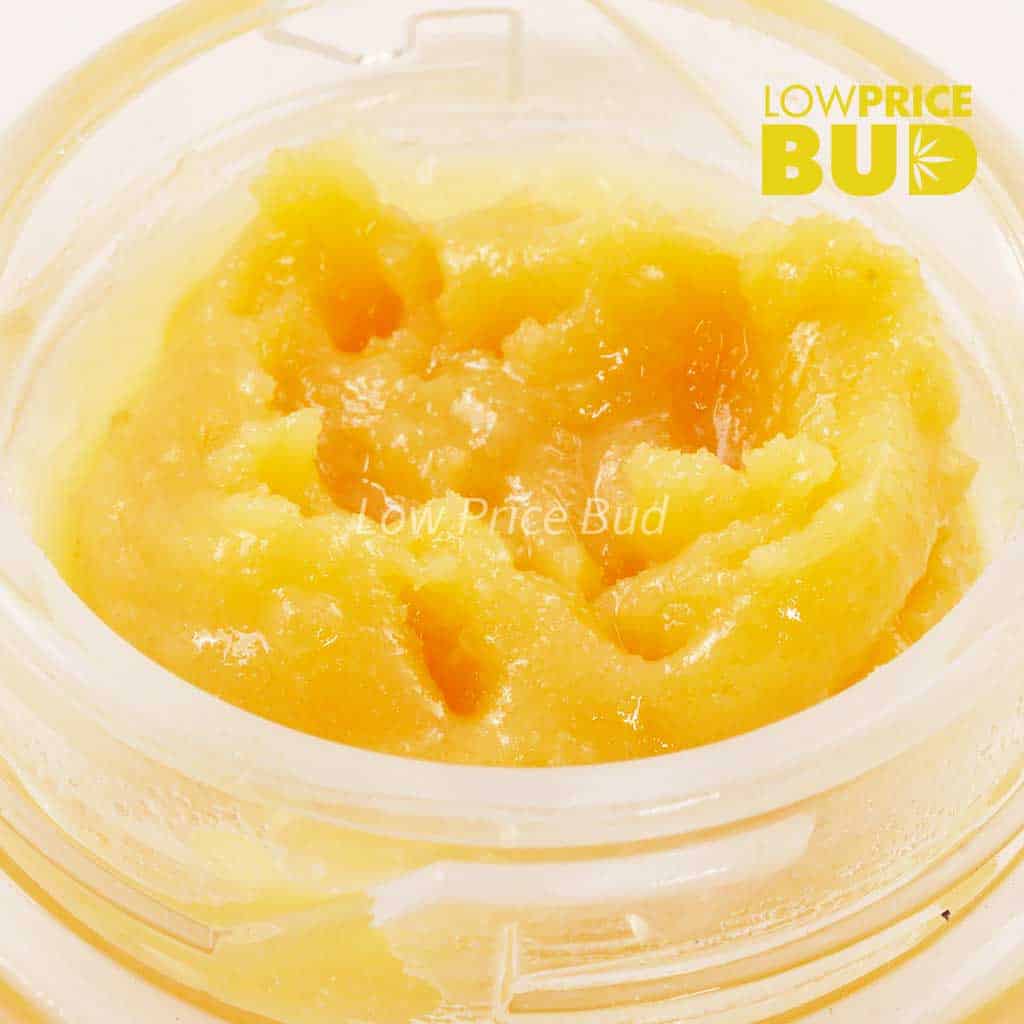 Live Resin – Gorilla Glue #4 Buy Live Resin – Gorilla Glue #4 online Canada