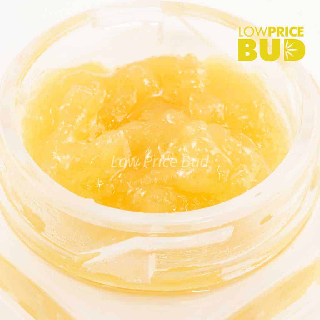 Live Resin – Jean Guy Buy Live Resin – Jean Guy online Canada