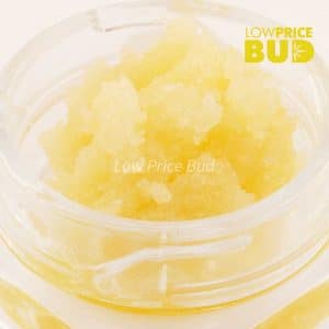 Buy Live Resin – Master Jedi online Canada