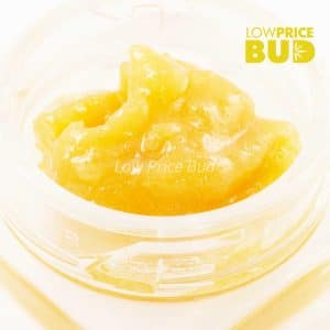 Buy Live Resin – Snoop Dog OG online Canada