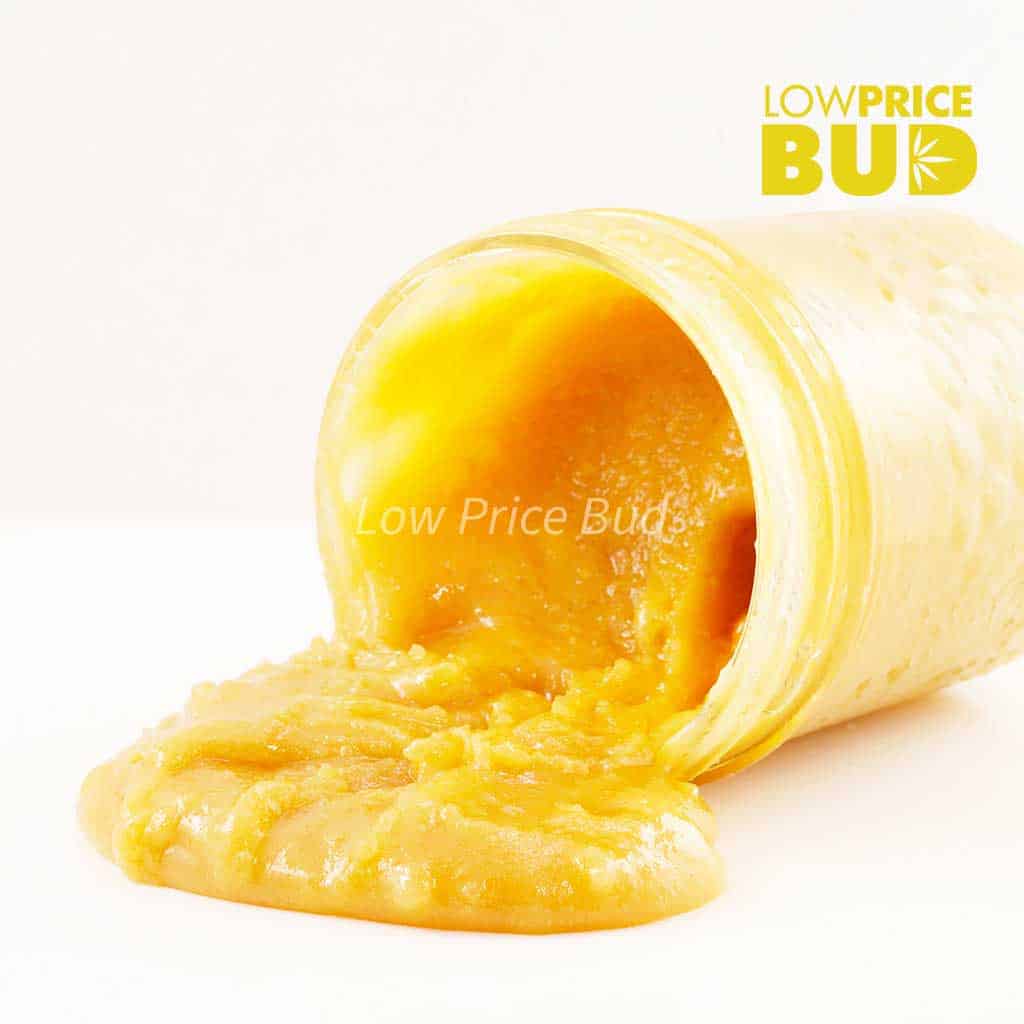 Live Resin – Snoop Dog OG Buy Live Resin – Snoop Dog OG online Canada