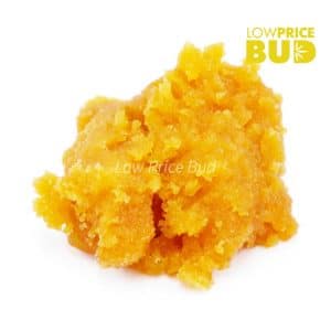 Buy Caviar – Hindu Skunk online Canada