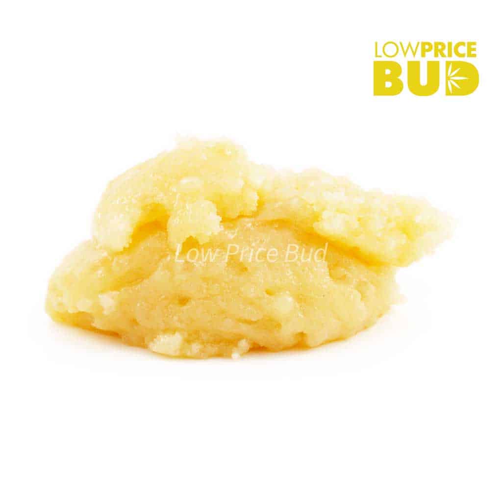 Caviar – Mike Tyson Buy Caviar – Mike Tyson online Canada