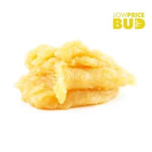 Buy Caviar – Orange Creamsicle online Canada